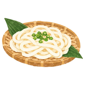 Hand Drawn Style Japanese Zaru Udon Cold Noodles on Bamboo Tray Illustration