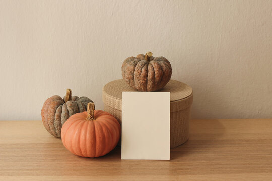 Autumn Still Life Mockup with Blank Greeting Card Invitation Mockup. Rustic Pumpkins, Round Burlap Gift Box on Wooden Table, Minimalist Fall Home Decor. Warm Neutral Beige Tones Thanksgiving Halloween