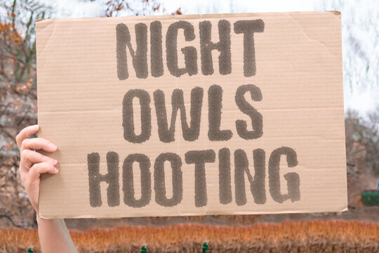 "Night owls hooting" Bird calls echo through dark woods. OWLS. NIGHT. WOODS. CALLS. BIRDS.