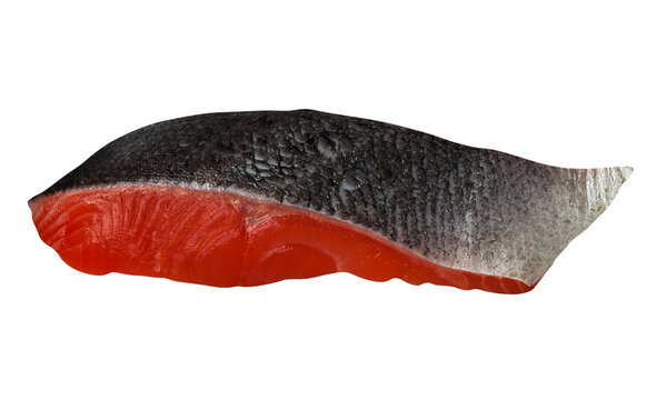 生鮭の切り身 切り抜き。銀色に輝くウロコの皮目が美しい生のサケ・魚介類の食材フード素材 俯瞰