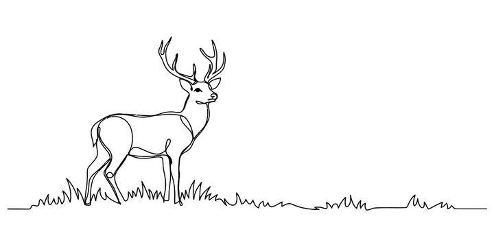 A simple continuous line drawing of a majestic deer with large antlers standing in the grass representing wild nature and animal wildlife art style isolated on transparent background