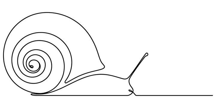 Minimalist continuous line drawing of a snail with a spiral shell showing elegant movement and simple artistic style design isolated on transparent background
