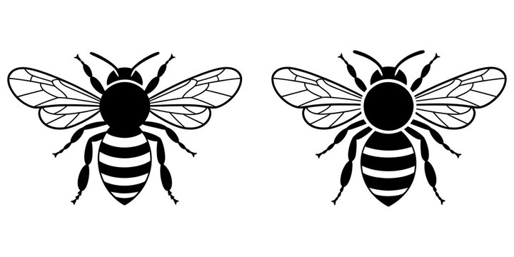 Two simple black honey bee icons showing insect shape with wings and stripes for nature design elements and garden logo symbols in flat graphic style isolated on transparent background