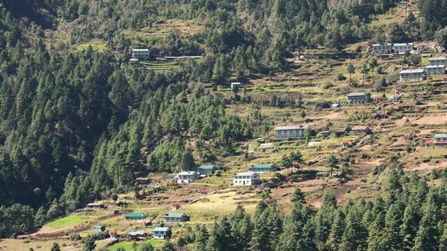 Remote village with houses and terraced farms built on steep himalayan hillside surrounded by dense pine forest, classic view from everest base camp trek in sagarmatha national park
