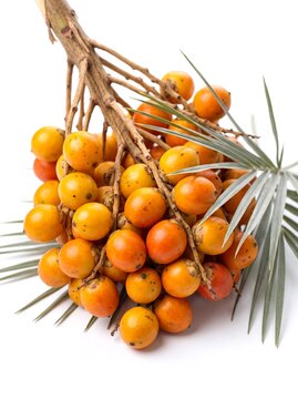 Cluster of ripe orange butia fruits, jelly palm fruit from southern Brazil with palm leaves, isolated on white background