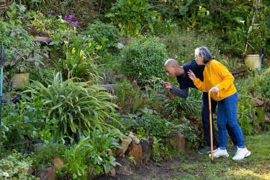 African American man bending in yard, Senior Asian woman yellow top steadying on cane, copy space