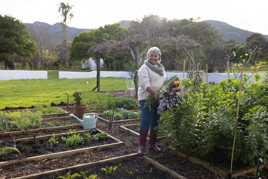 Mature woman standing among raised beds holding harvest basket, wearing cream sweater, maroon boots