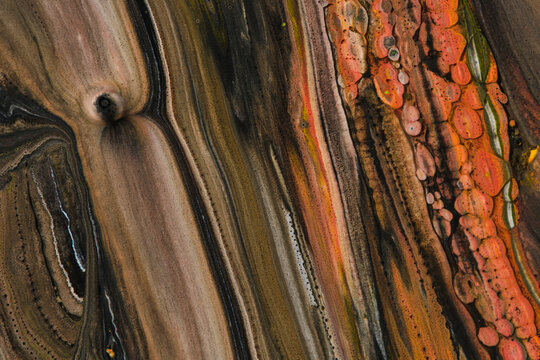 Abstract fluid art featuring textured dark brown stripes and vibrant coral pink bubble patterns.