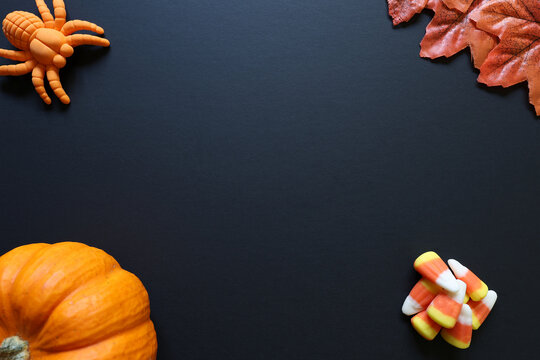 Halloween flat lay background with pumpkin, toy spider, candy corn and autumn leaf on black backdrop with copy space.
