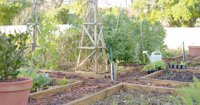 Camera is panning right and forward to reveal raised beds in suburban backyard, trellis