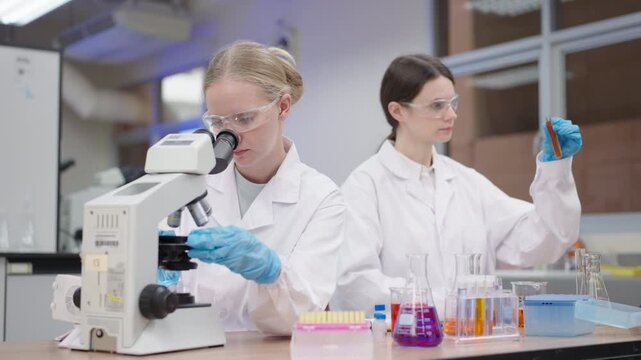 Female scientist and colleague using microscope laboratory for medical cosmetic research and innovation, examining specimens and test tubes through focused teamwork, scientific precision