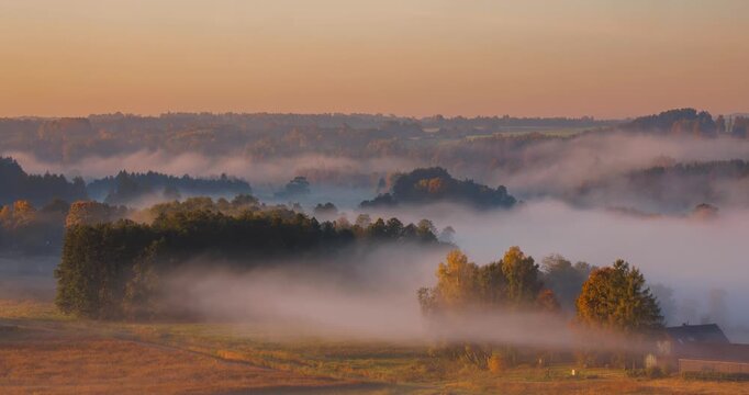 Hazy morning fog with slowly moving fog over the forest