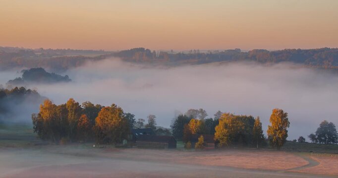 Hazy morning fog with slowly moving fog over the forest