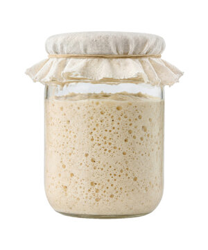 Active bubbly sourdough starter in a glass jar with a cloth cover, ready for baking, isolated on a white background