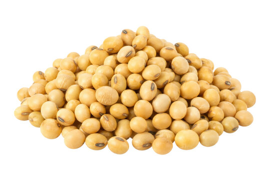 Large pile of raw, dried soybeans with light yellow skins and dark hilums, isolated on a clean white background