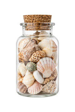 Clear glass jar filled with various natural seashells and a cork stopper, isolated on a clean white background