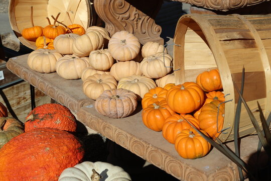 baskets of pumpkins 