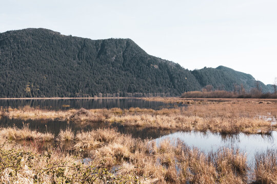 Pitt River Dike lake park