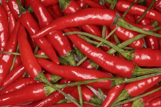 Lots of chili