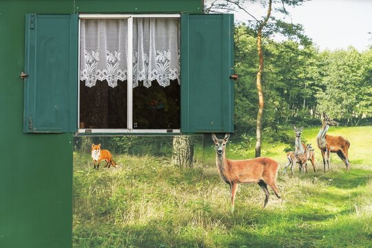 Caravan in an old construction trailer with painting of red deer, Bredereiche, F&uuml;rstenberg an der Havel, Oberhavel, Brandenburg, Germany