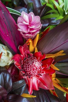 Colourful flowers for sale, Roura, French Guiana