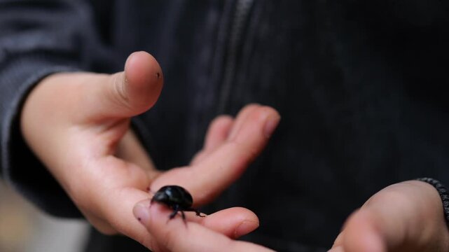 Black beetle crawls across persons open palm and fingers as hand remains steady. Close observation of small insect continues, with second hand poised nearby and dark knit clothing behind.