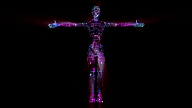 a cyber cyborg female  woman robot 