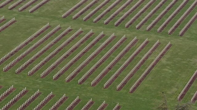 Verdun (France) | Drone 