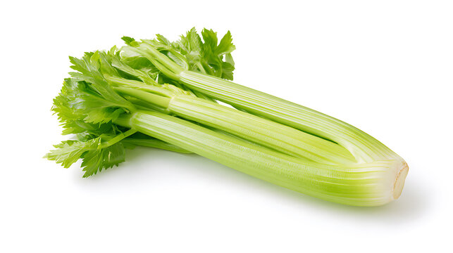 Fresh green celery bunch, Apium graveolens, raw healthy organic vegetable with crispy stalks and leafy top isolated on white studio background