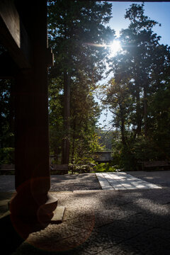 鎌倉261006　円覚寺1　夕陽