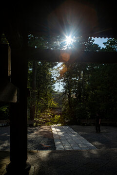 鎌倉261006　円覚寺3　夕陽