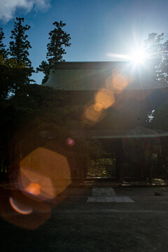 鎌倉261006　円覚寺2　夕陽