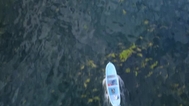 Vessel glides swiftly over lush green water covered with seaweed and aquatic plants. Boat slicing through vegetation patches. Visible motor wake and ripples. Coastal transport and workingboater theme.