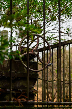 Old rusty water gate valve control wheel with moss seen through a metal fence outdoors