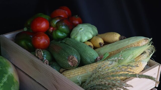 Freshly harvested assorted farm vegetables arranged together inside a wooden crate, including sweet corn, zucchini, tomatoes, peppers and pattypan squash, showcasing a variety of seasonal produce