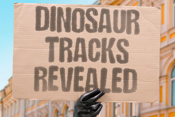 "Dinosaur tracks revealed" Eroded cliffs expose ancient footprints. DINOSAURS. TRACKS. CLIFFS. EROSION. FOOTPRINTS. © AndriiKoval