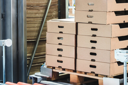 Elements of corton boxes collected in stack. Conveyor line for production of boxes. Machine cuts cardboard boxes from sheets of cardboard. Enterprise for production package.