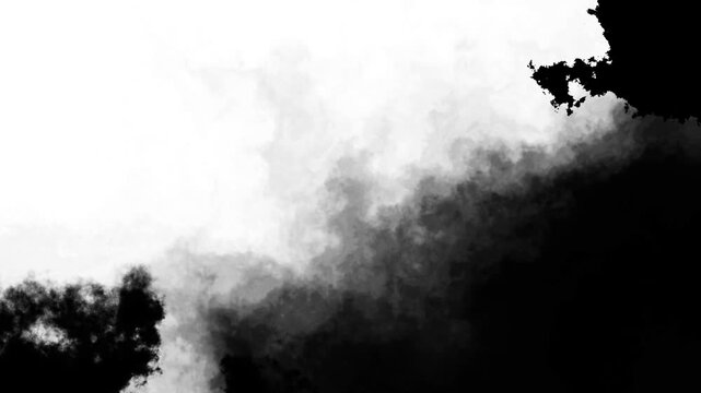 Drop ink animation, Black ink blot Splatter, ink for cinematic video and , black watercolor ink splatter effect, 4k video