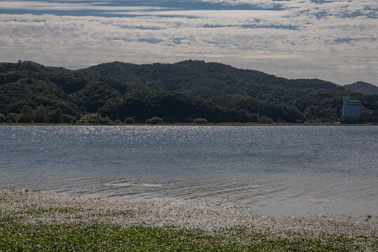 남양주 다산생태공원과 팔당호 한강 풍경, Scenery of Dasan Ecological Park in Namyangju, Paldang Lake, and the Han River