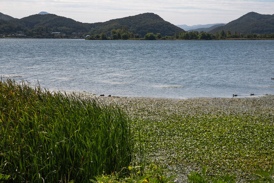 남양주 다산생태공원과 팔당호 한강 풍경, Scenery of Dasan Ecological Park in Namyangju, Paldang Lake, and the Han River