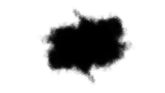 Ink bloom, black ink blots on isolated white background, ink drops transition for cinematic title, transitions of black expanding paint stains on white backdrop, grunge ink 4k