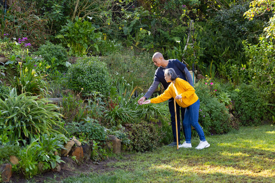 African American man assisting Senior Asian woman using cane in garden at tiered bed, copy space