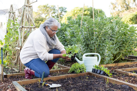 Senior African American woman kneeling in raised bed planting seedling near red boots, copy space