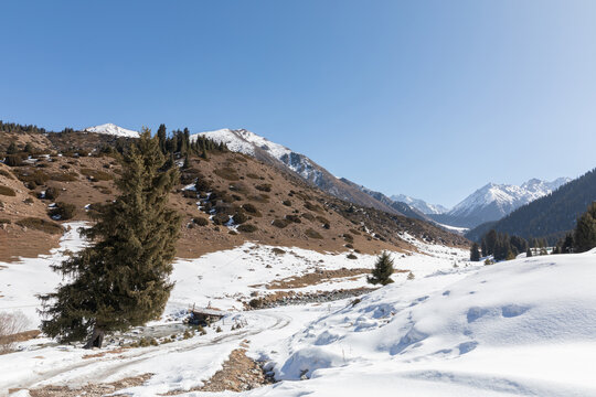 Scenic winter landscape of Kok-Jaiyk pasture in Issyk-Kul Region, Kyrgyzstan, showing a snow covered valley with evergreen spruce trees, winding mountain stream, and high rocky peaks
