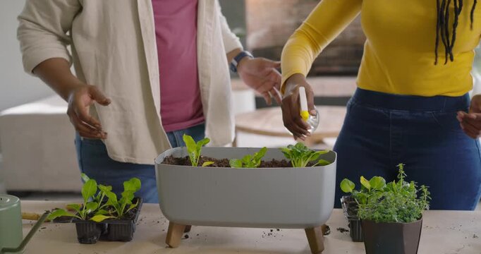 Pair is placing seedlings into rectangular planter on table, misting and watering to hydrate soil