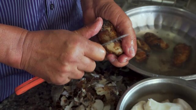 Person peeling arbi (Colocasia esculenta), also known as taro root, in a traditional household kitchen
