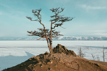 Solitary larch tree decorated with shaman ribbons stands on a rocky hill overlooking the vast frozen surface of Lake Baikal and distant snowy mountains in Irkutsk Oblast, Russia © TravelFlow