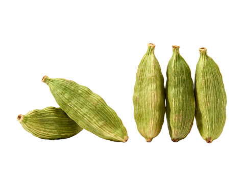 Several whole green cardamom pods displayed on plain white background