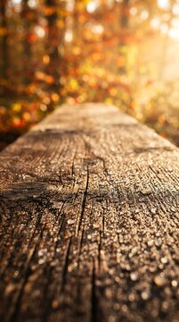 Close up of a wooden plank with dew drops in a beautiful autumn forest.