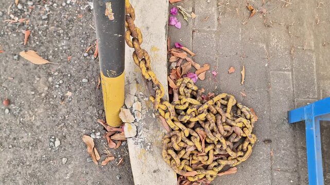 Industrial security bollard and weathered rusty iron chain on urban concrete sidewalk with fallen dry leaves